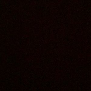 Meet your Posher, Precious